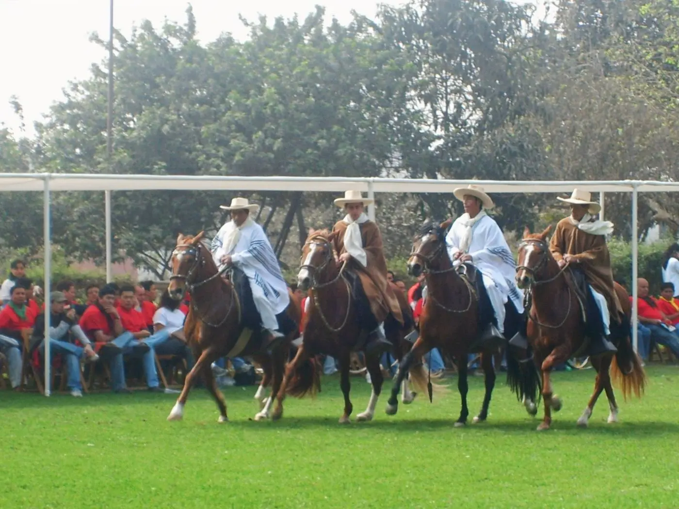 actividad1