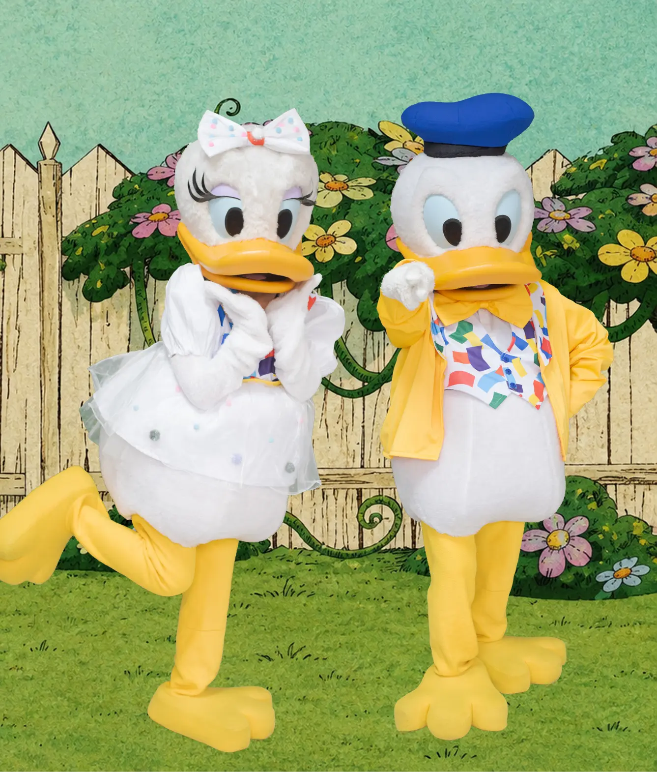 Donald y Daisy